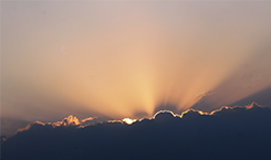 Uitvaartverzekeringen